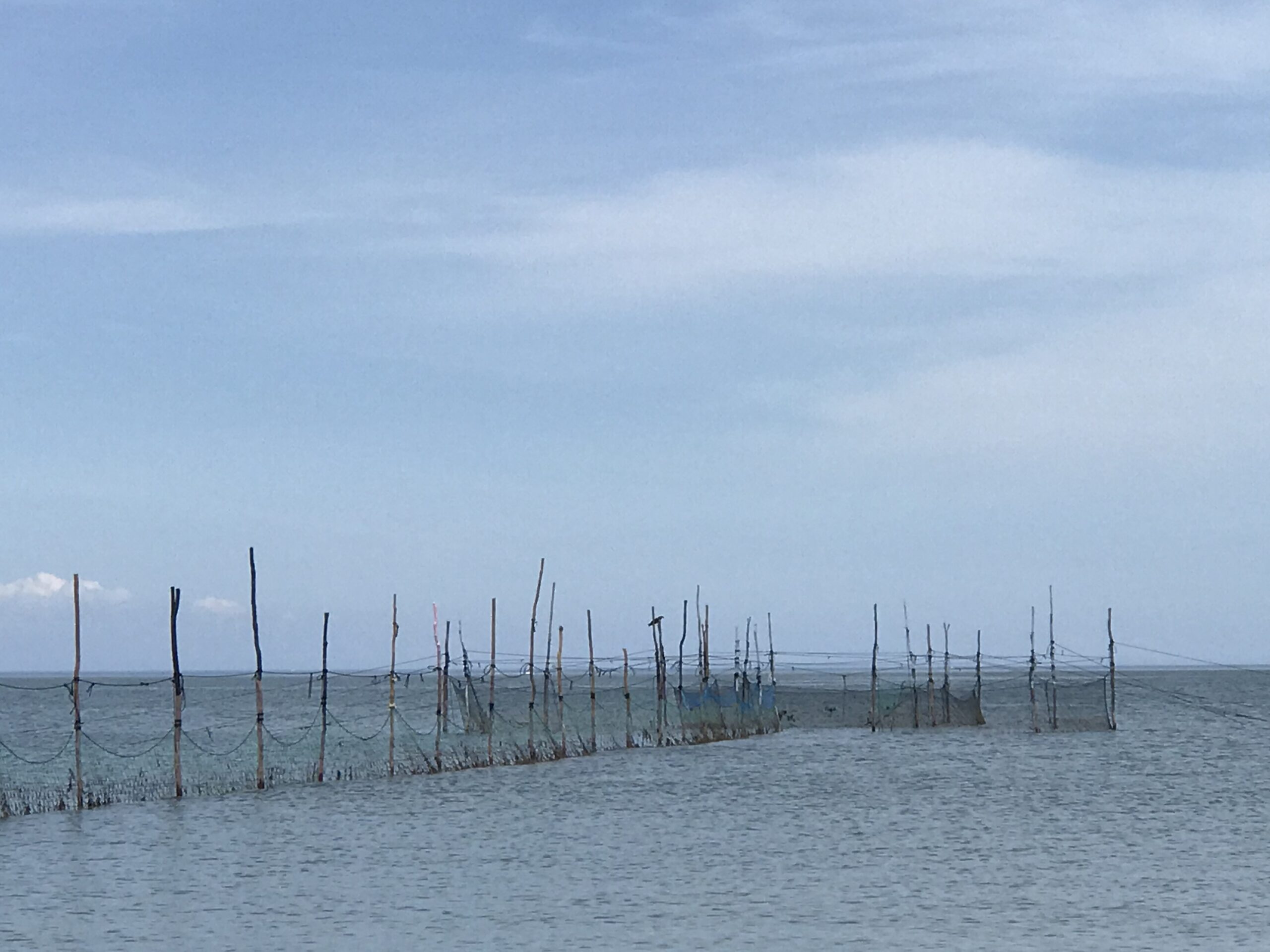 Fish Traps & Shell Fishing - East Hampton Town Trustees