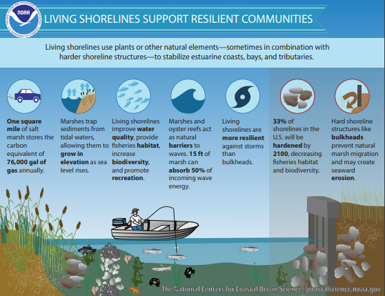 NOAA Living shorelines support resilient communities chart.