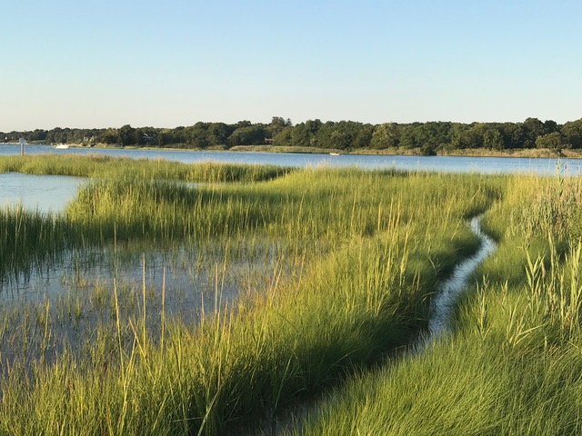 Three Mile Harbor