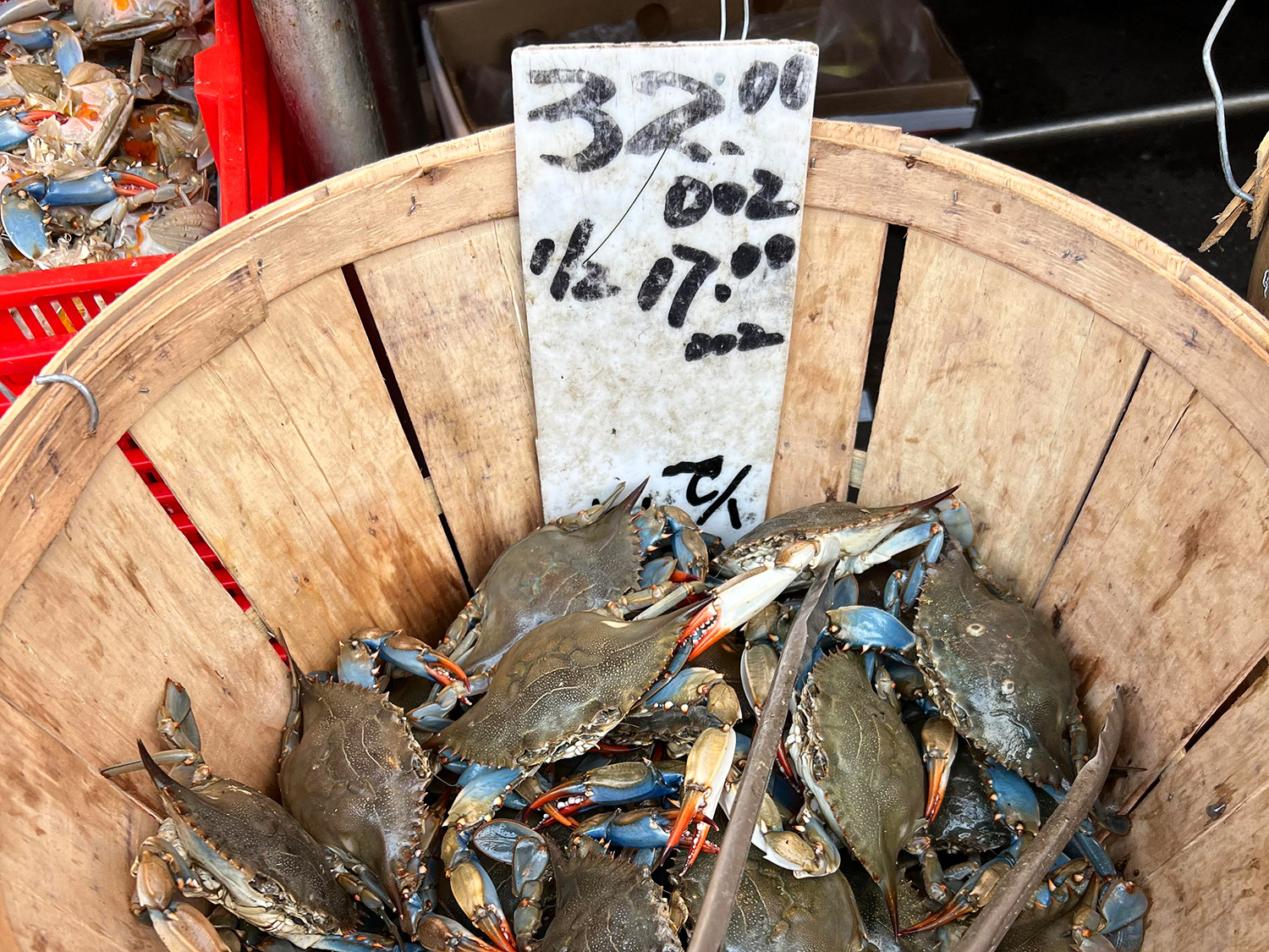 Blue Claw Crab Poaching in East Hampton waters