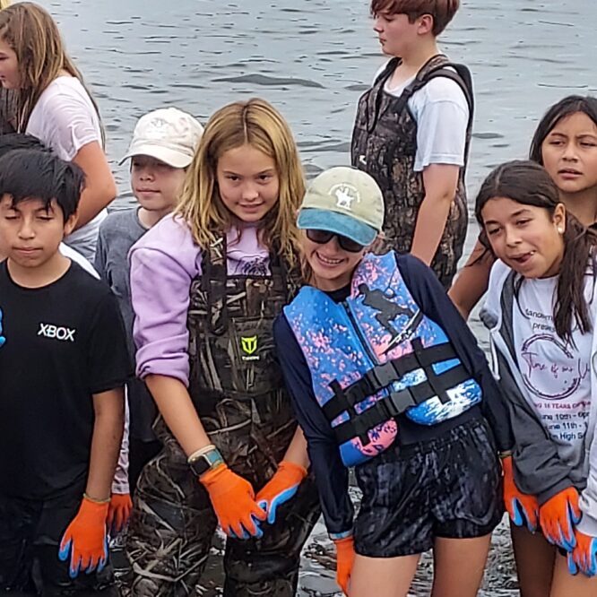aquaculture oysters school students create oyster reef