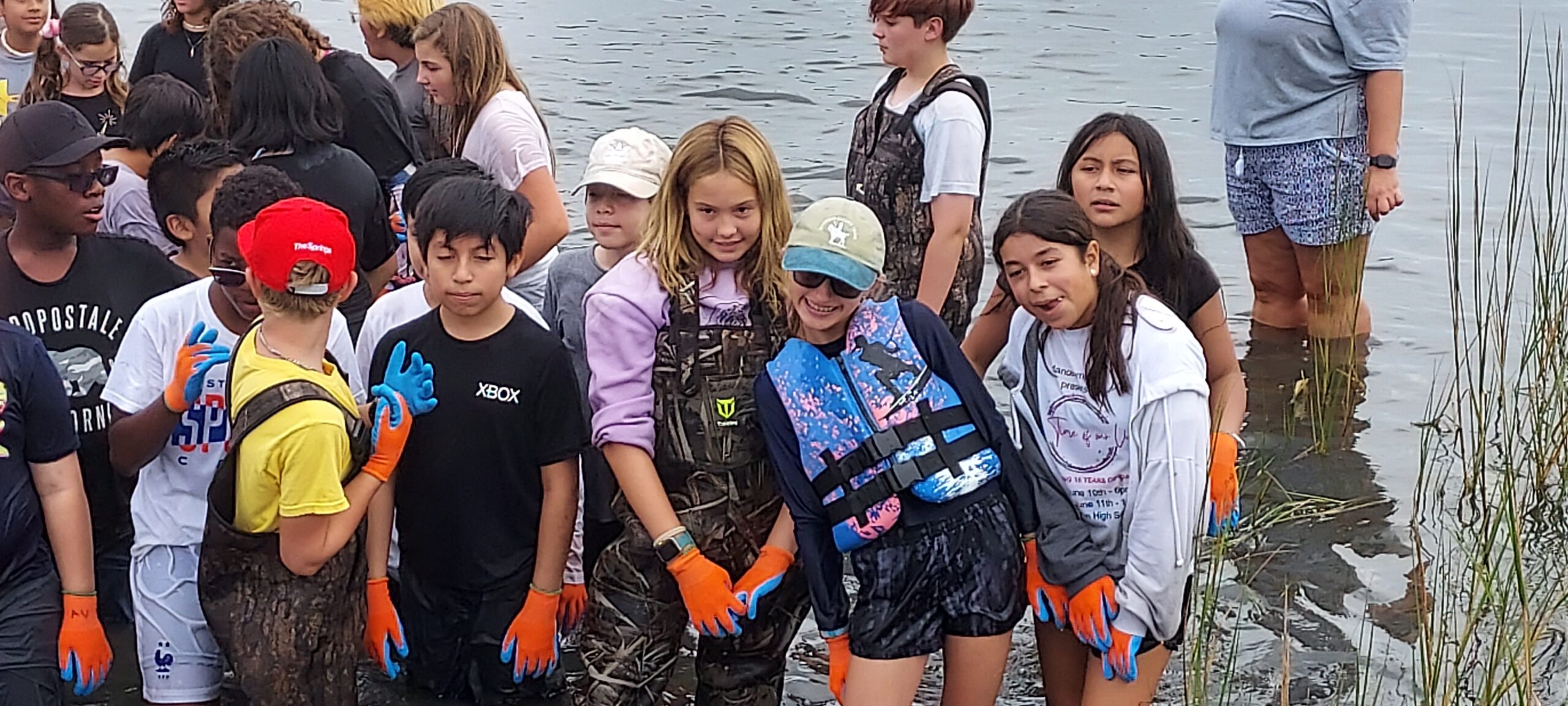 aquaculture oysters school students create oyster reef