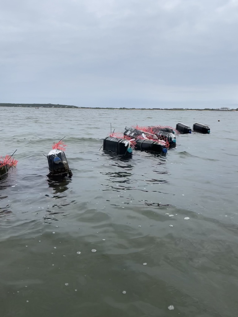 Napeague Harbor oyster crates