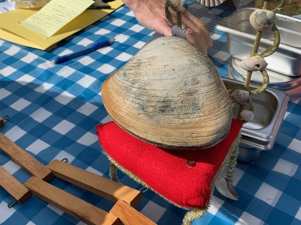 Weighing the winning clam