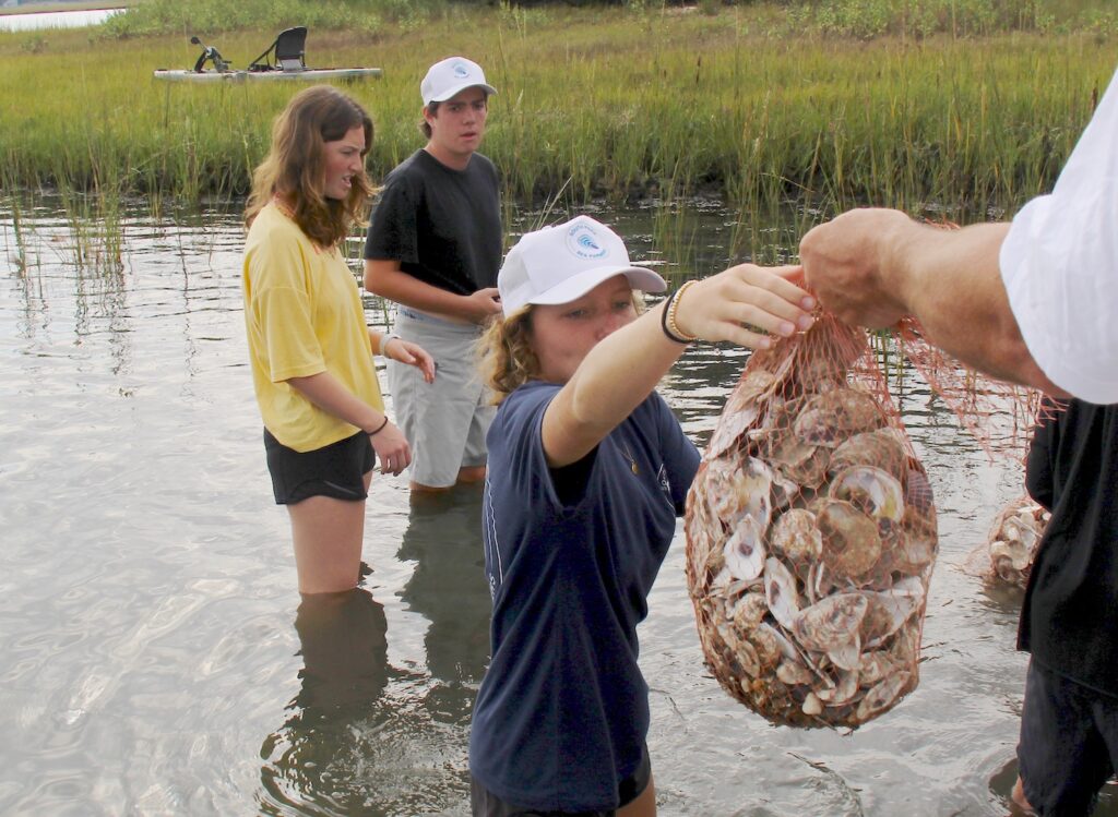 Students creating oyster reef in Accabonac Harbor 
