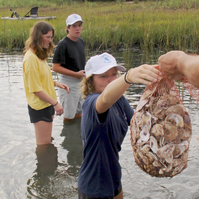 Students create oyster reef on spat