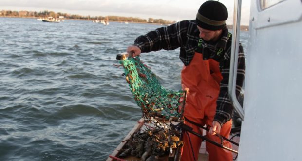 Scallop fisherman Photo by Rory MacNish /CCE