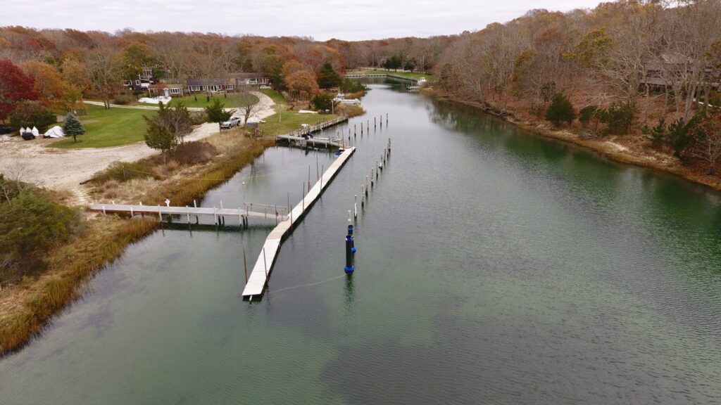 Cove Marina changes to growing oysters 