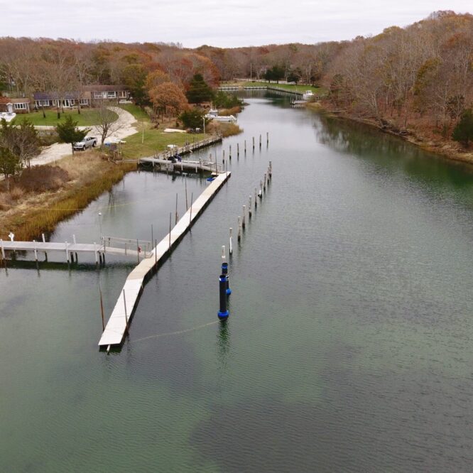 Cove Marina changes to growing oysters