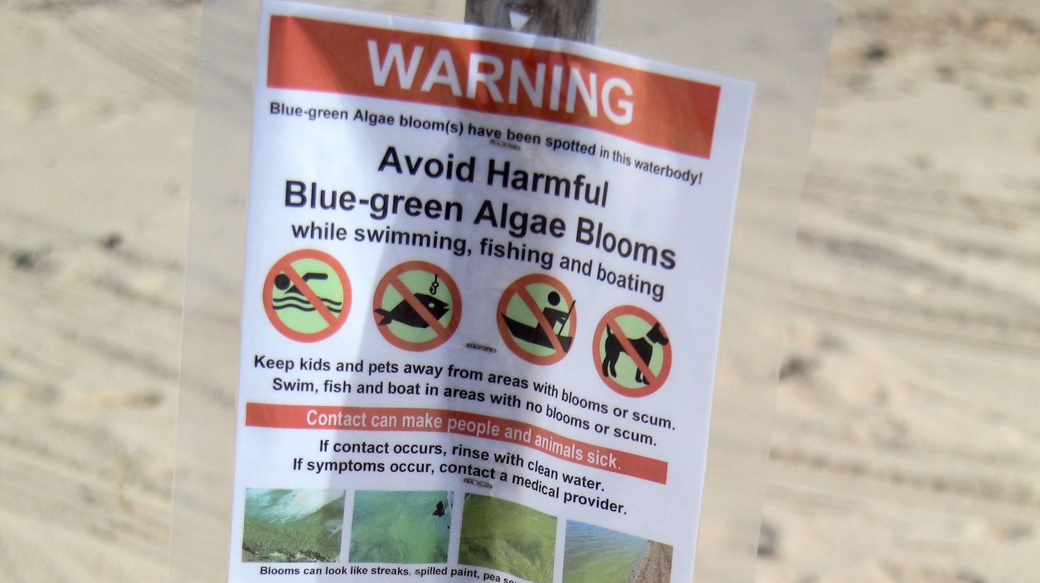 Warning sign for algae blooms in waters of EH Durell Godfrey photo EH Star