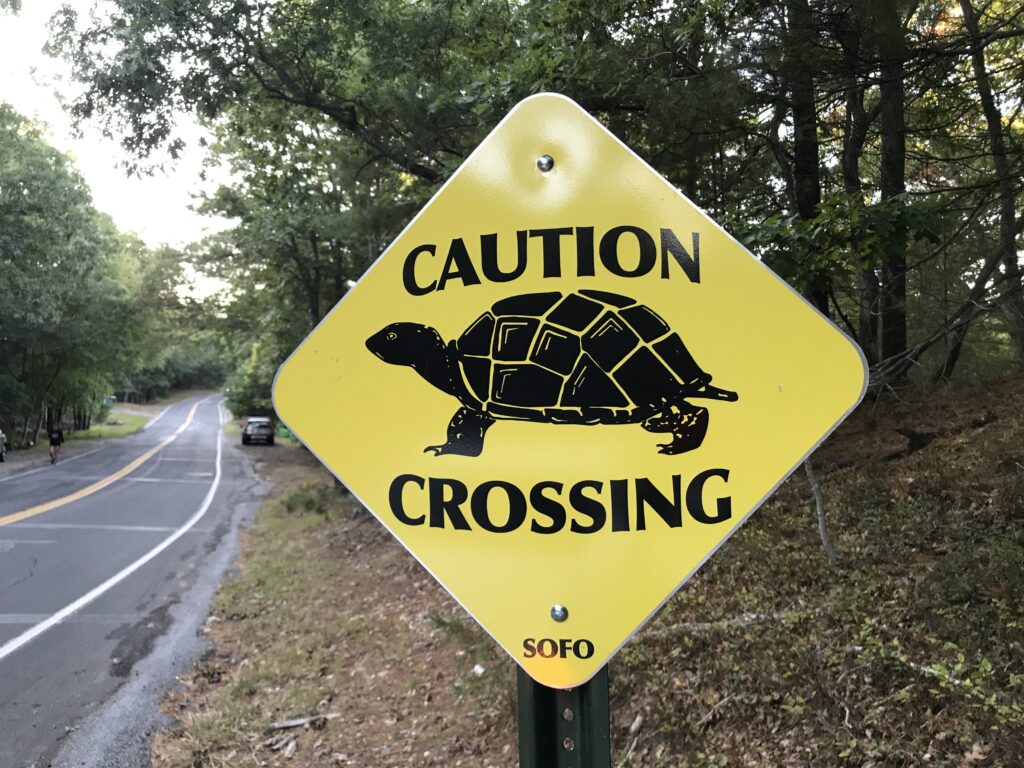 Metal Turtle crossing sign warning courtesy of SOFO 