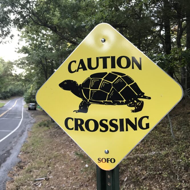 Metal Turtle crossing sign warning