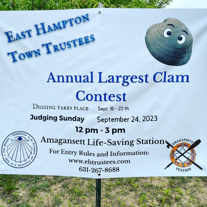 33rd Annual Largest Clam Contest poster