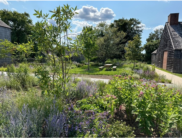 East Hampton Town Hall - ChangeHampton! Pollinator Garden Photo Abby Lawless