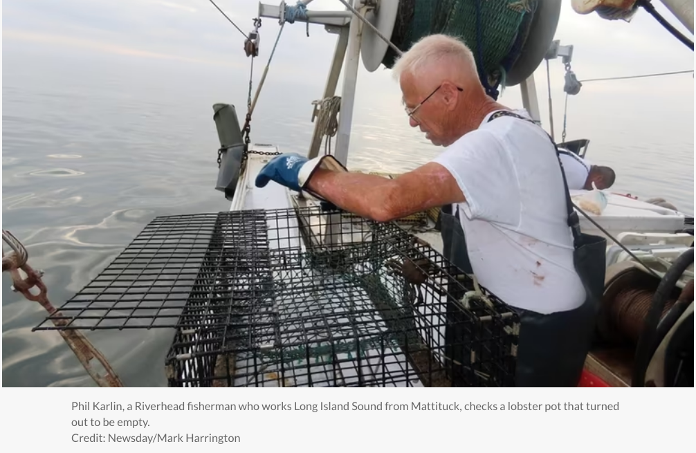 Phil Karlin, a Riverhead fisherman who works Long Island Sound from Mattituck, checks a lobster pot that turned out to be empty. Credit: Newsday/Mark Harrington