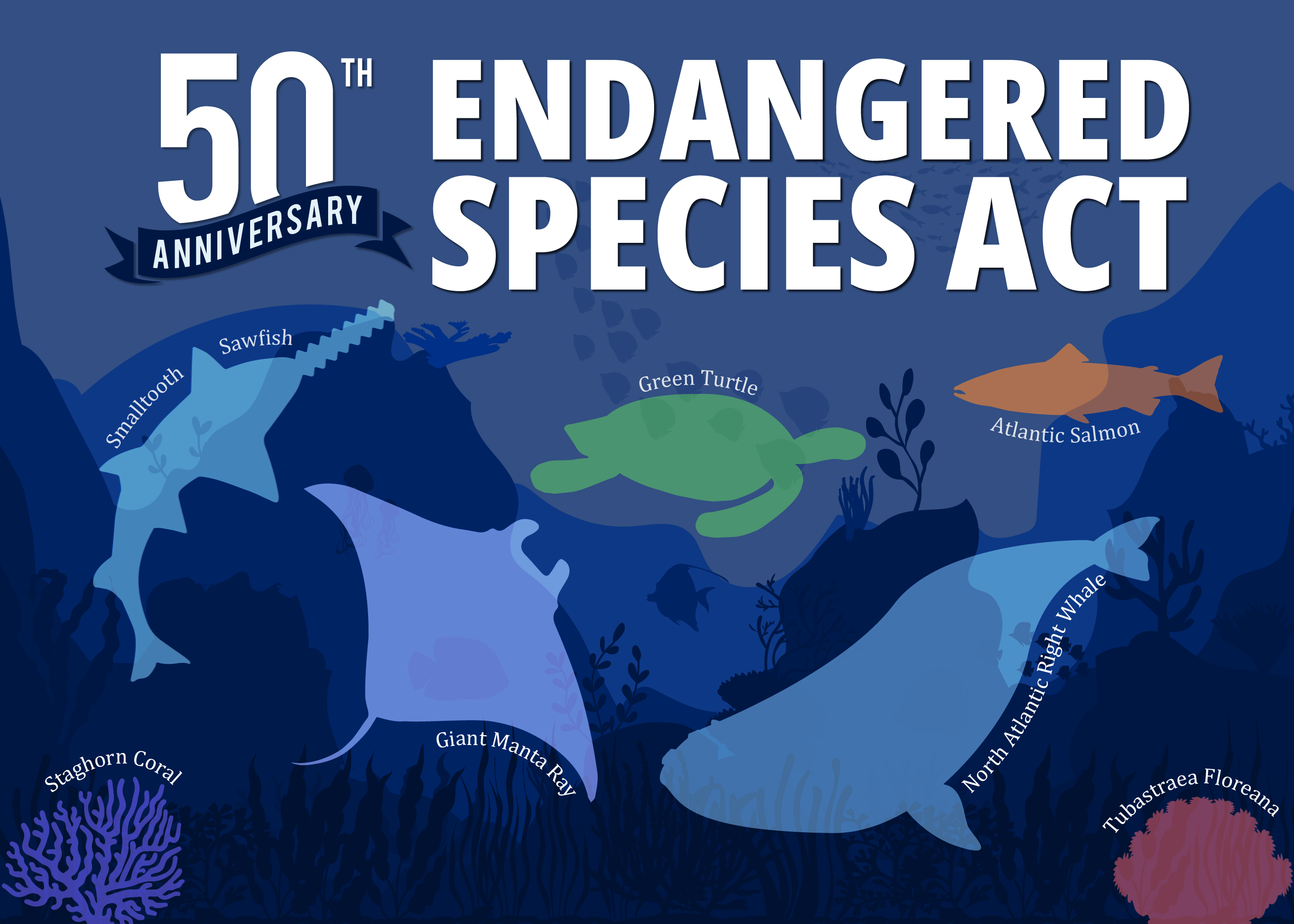 NOAA 50th Anniversary poster - Endangered Species Act 2023