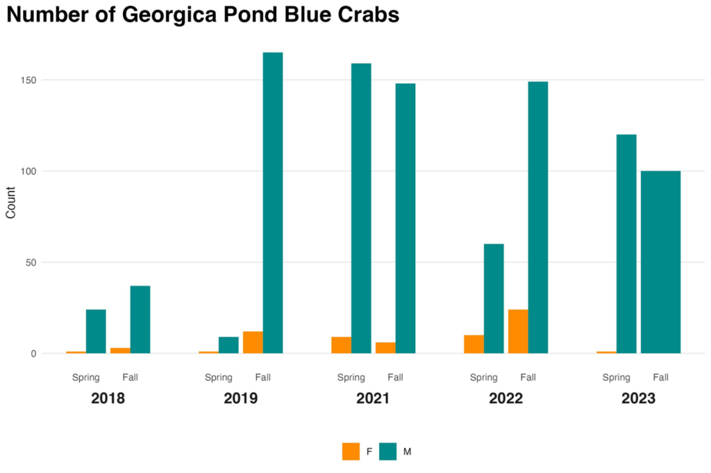 Graph depicting the number of Georgica Pond Blue Crabs