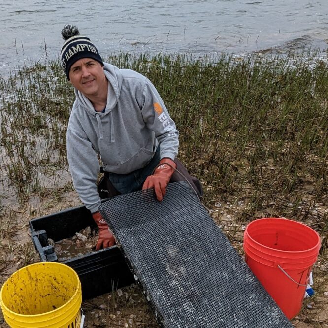 Trustee David Cataletto Oyster Farming at Napeague May 2024