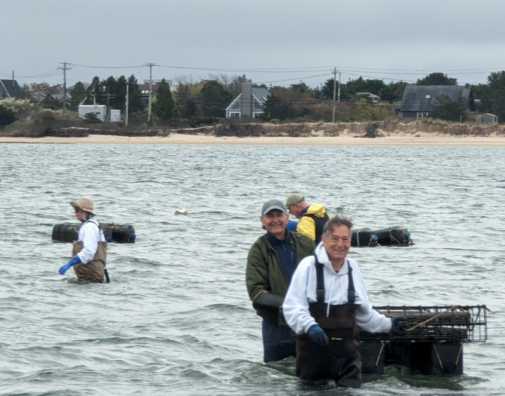 Oyster farmers Gordian Raacke and Roger Skelton set up for the season