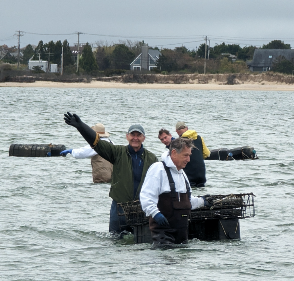 New oyster farmers Gordian Raacke and Roger Skelton in Napeague Harbor