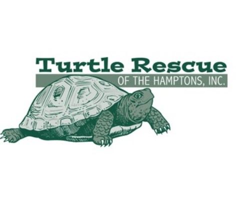 Logo for Turtle Rescue of the Hamptons