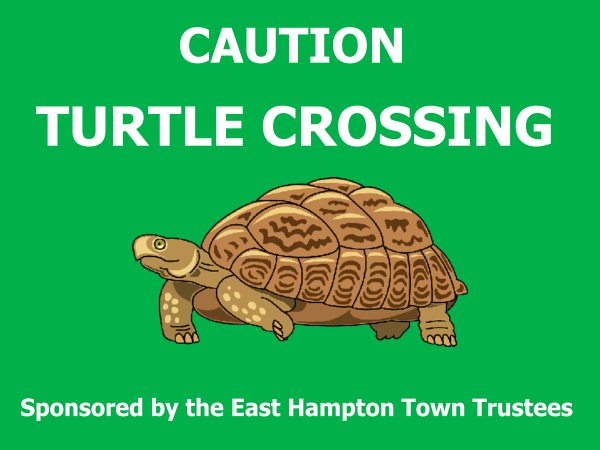 Green Turtle Crossing sign sponsored by EH Town Trustees