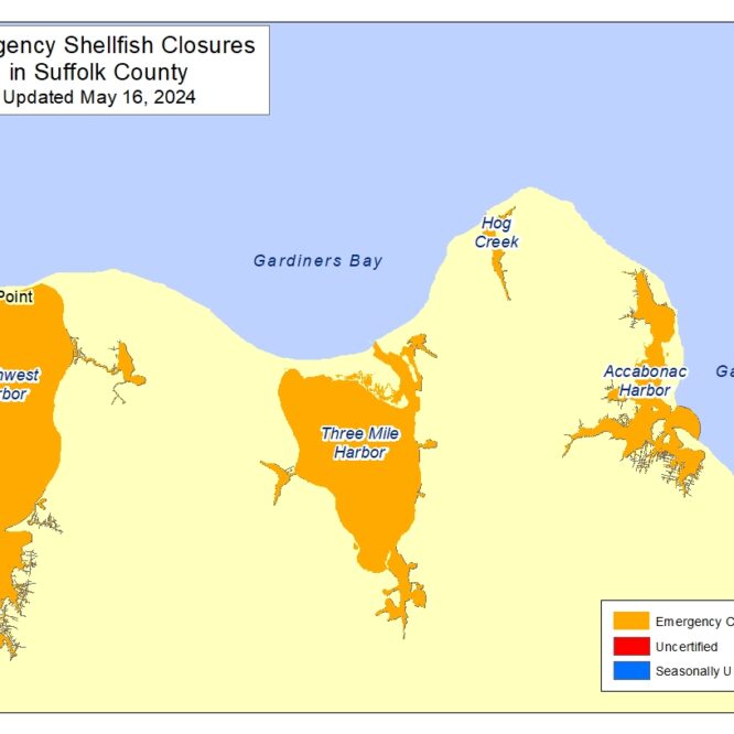 A map highlighting the Shellfish closures per the New York State DEC in the Town of East Hampton.