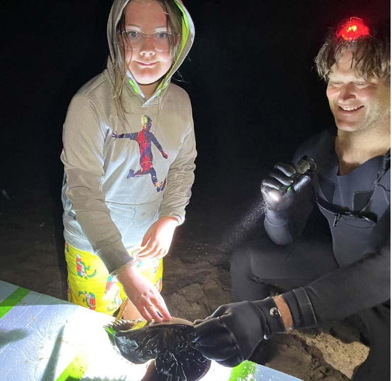 Saoirse Quinn and Ben Dollinger worked together to measure and tag a horseshoe crab. Margarette Doyle