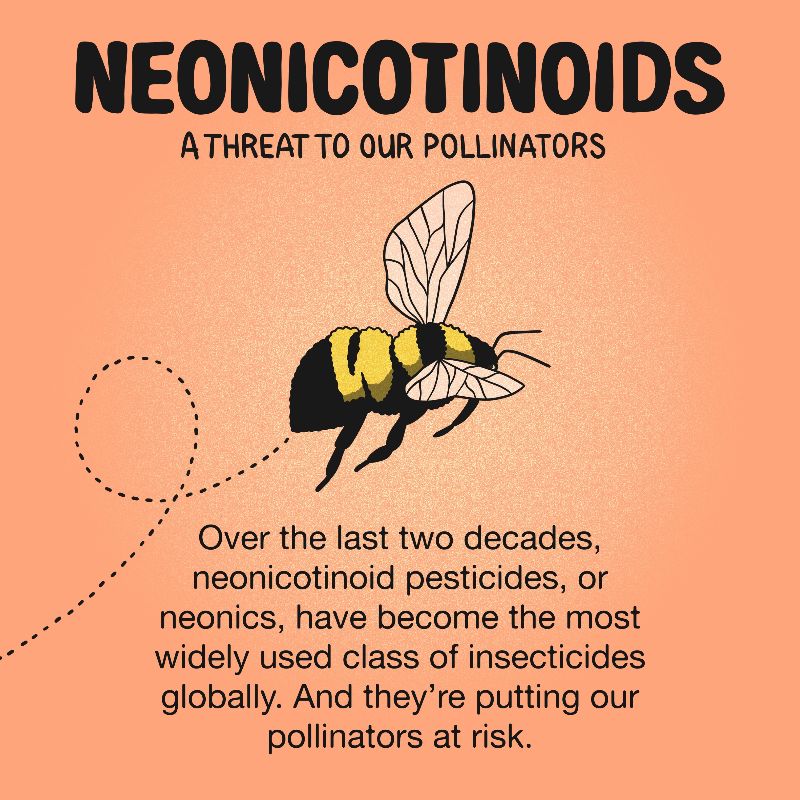 Neonicotinoids poster