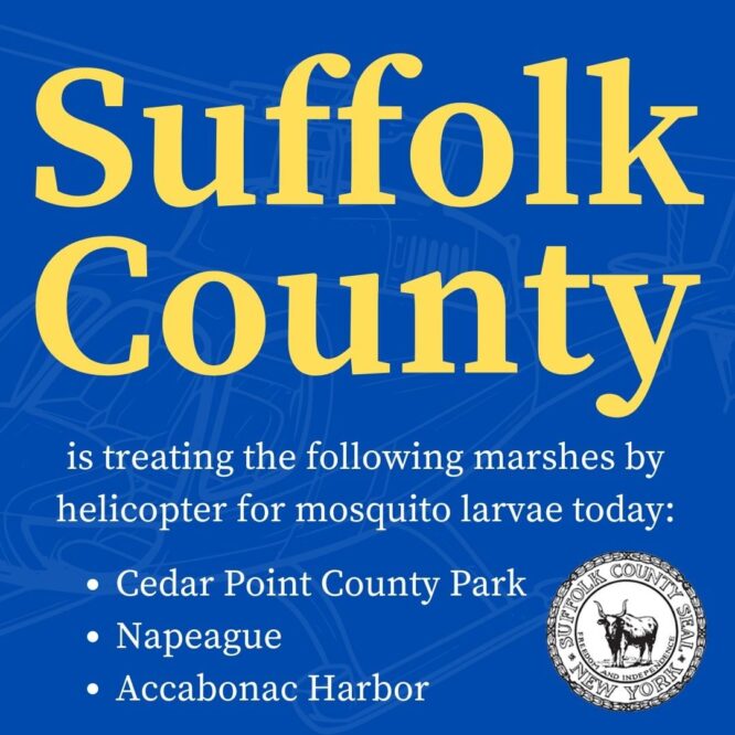 Suffolk County mosquito larvae post July 2024