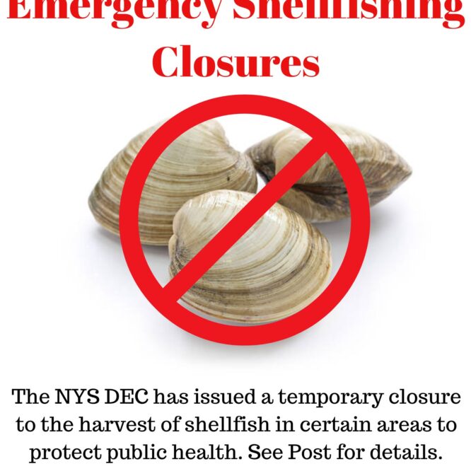 Image shows a sign with hard clams and a red circle with a line through it indicating, "no." The sign reads, "Emergency Shellfishing Closures" as the title and below the clam image are the words,"The NYSDEC has issued a temporary closure to the harvest of shellfish in certain areas to protect public health. See post for details."