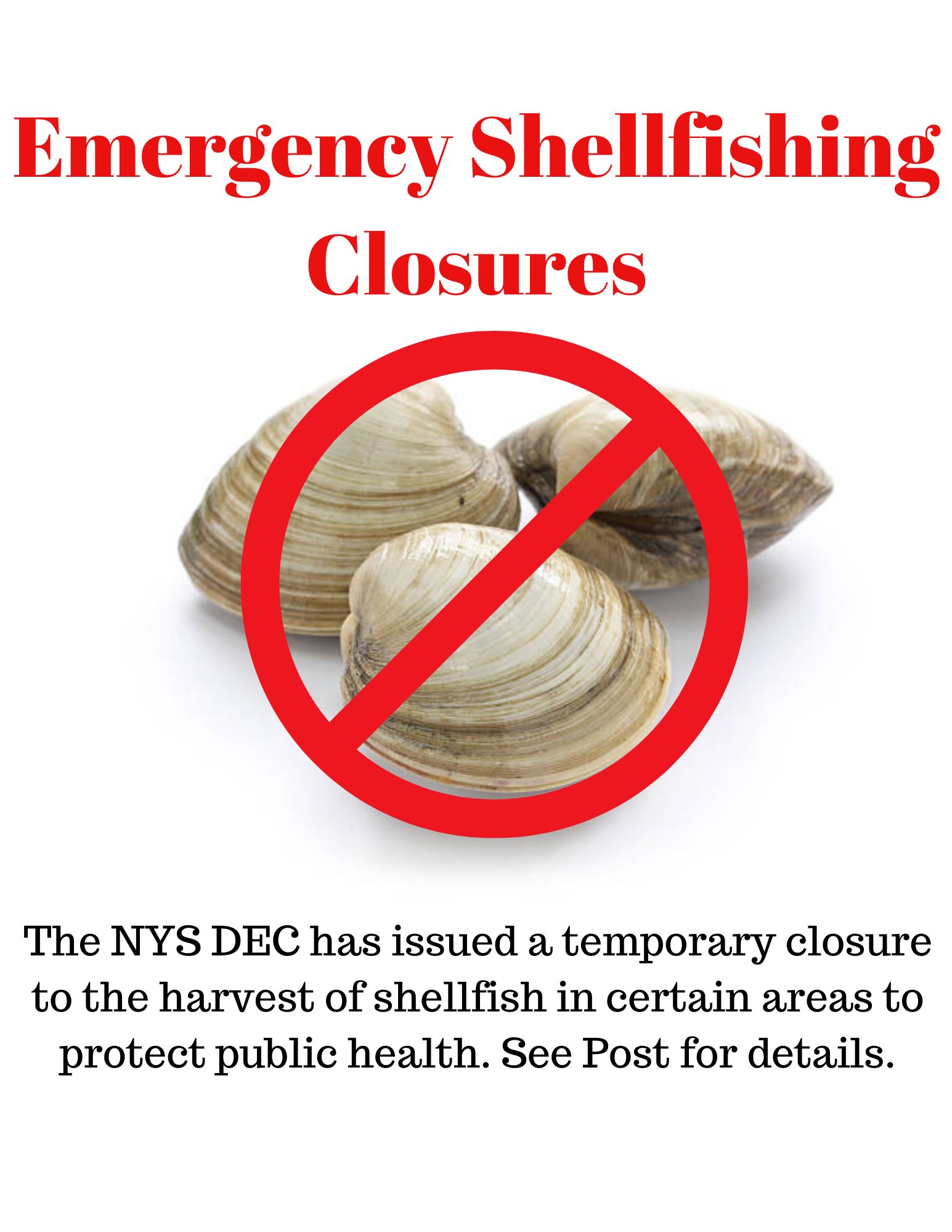 Image shows a sign with hard clams and a red circle with a line through it indicating, "no." The sign reads, "Emergency Shellfishing Closures" as the title and below the clam image are the words,"The NYSDEC has issued a temporary closure to the harvest of shellfish in certain areas to protect public health. See post for details."