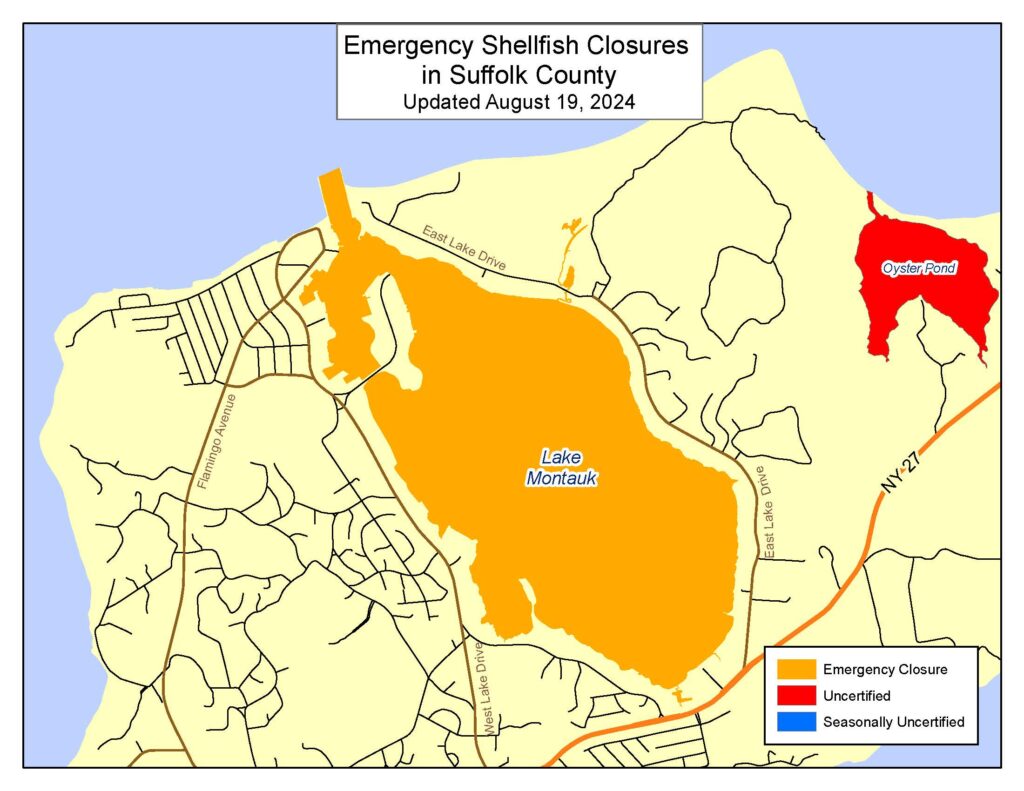 An image showing a map of Lake Montauk in an orange color and surrounding land in yellow. The orange indicating the harbor is closed to shellfishing. 