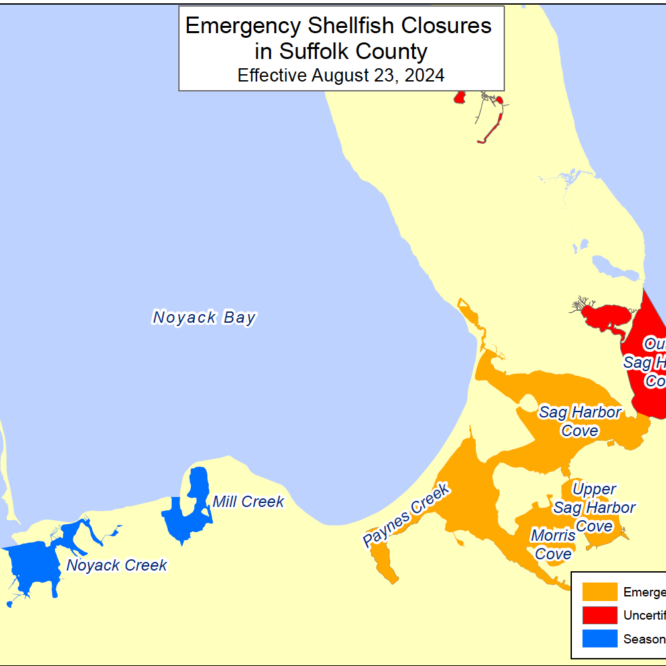 Sag Harbor emergency shellfish closures august 23. 2024