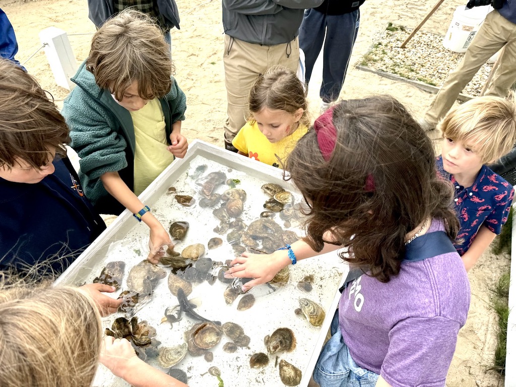 EH Shellfish Hatchery LIVE marine animals