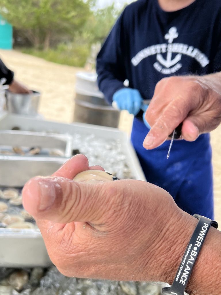 Bennett Shellfish shucking the clams!