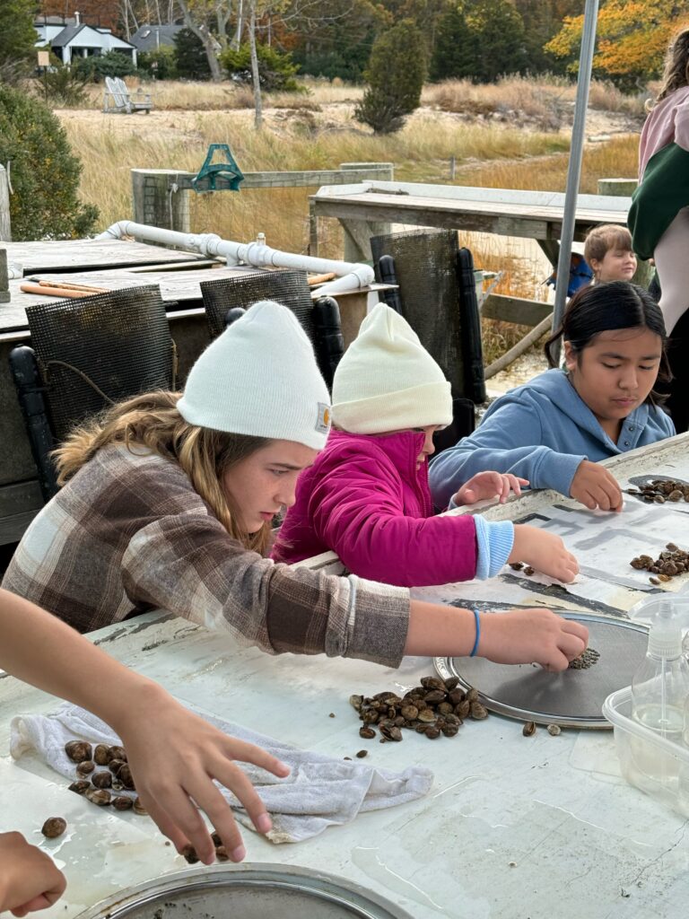 Rob Vasiluth and EH Middle School students help with eelgrass restoration