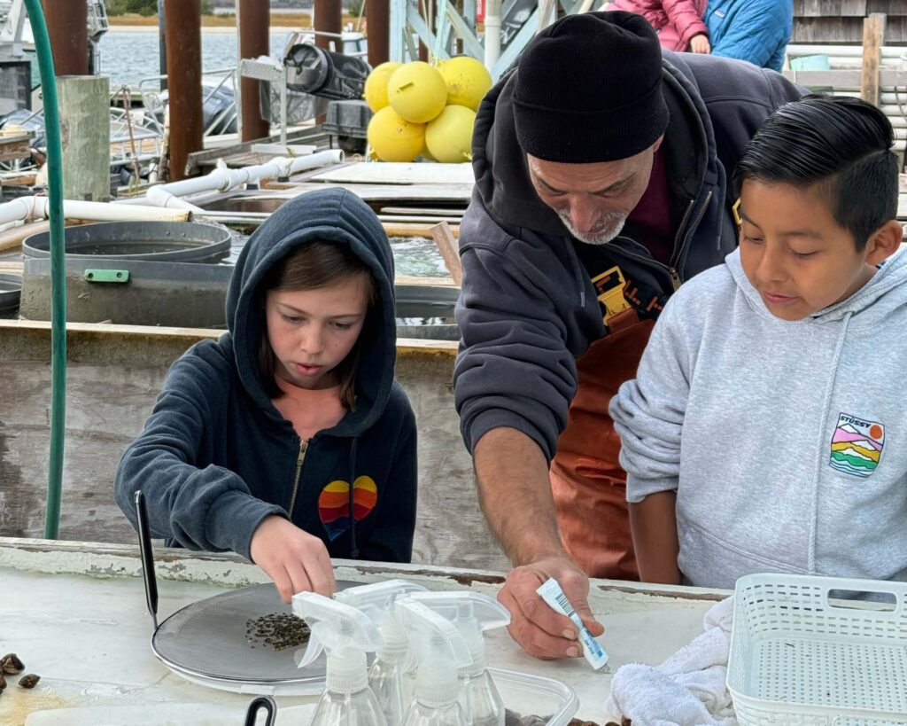 students from EH Middle School eelgrass gluing