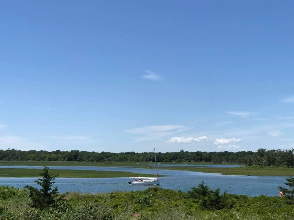 Accabonac Harbor with sailboat Photo Susan McGraw-Keber