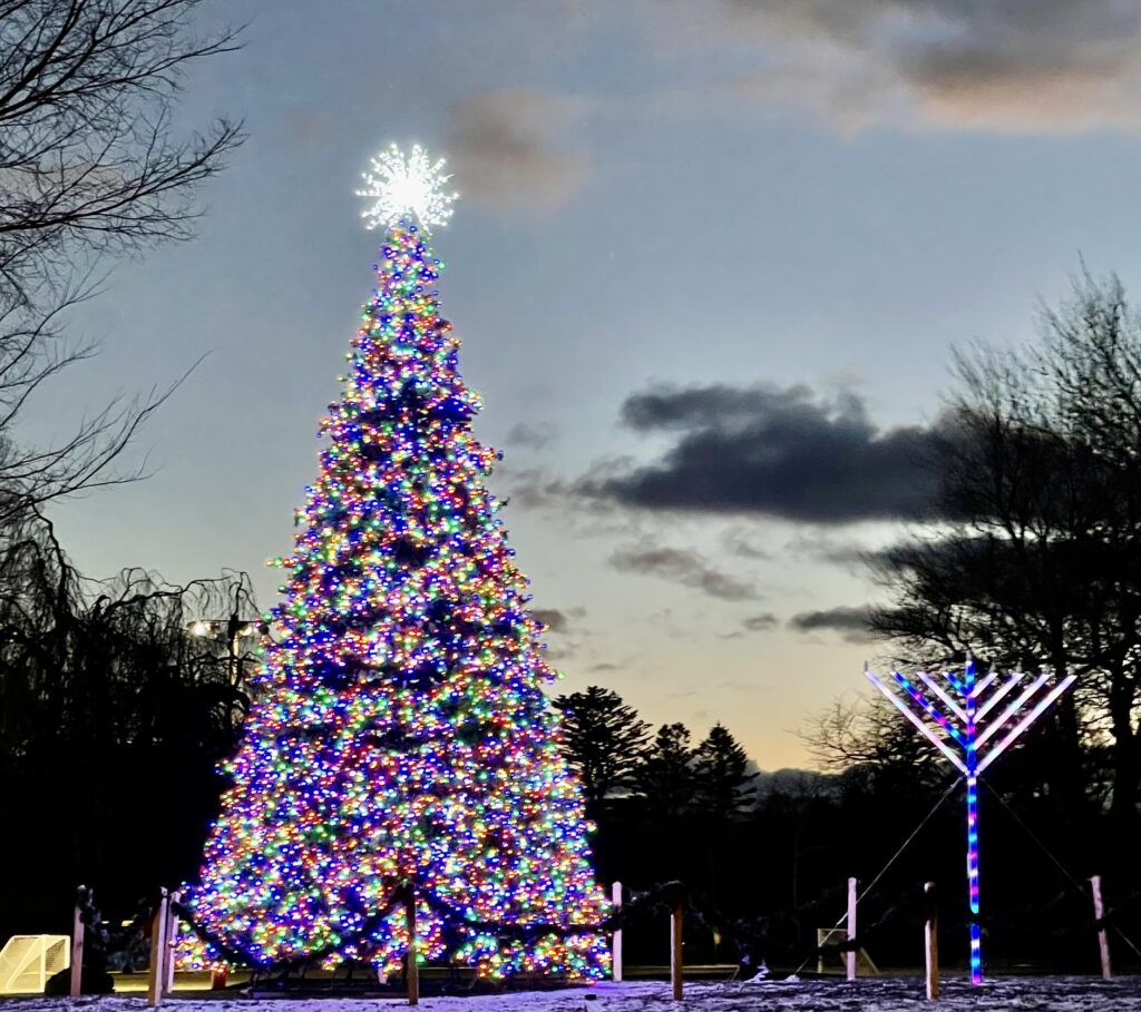 Christmas tree and Menorah at Herrick Park 2024 Holidays