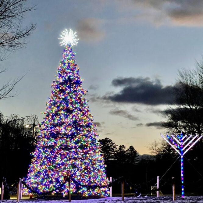 Christmas tree and Menorah at Herrick Park 2024 Holidays