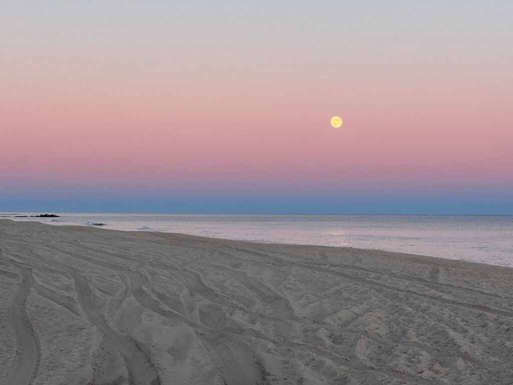 Beach sunset of pink and blue wih the Moon