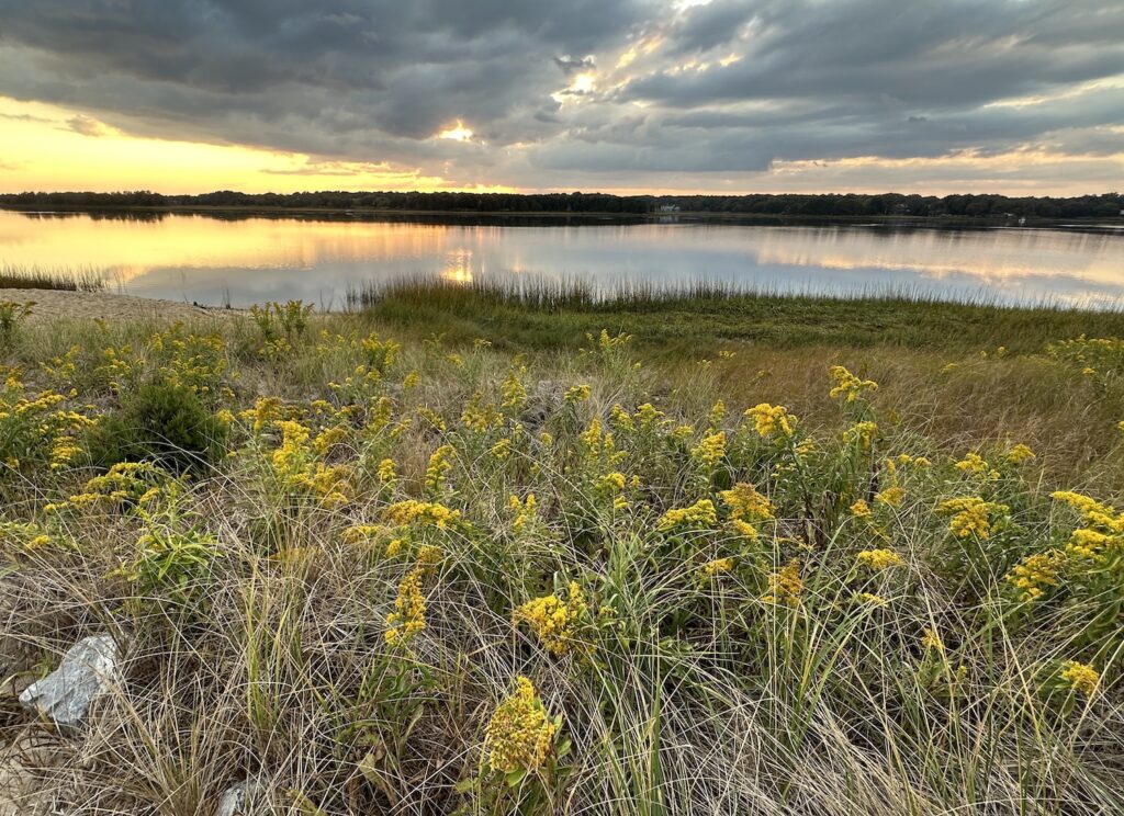 The Peconic Estuary Partnership's misison is to protect and restore the estuary and its watershed, including spots like Accabonac Harbor, above.
Carissa Katz