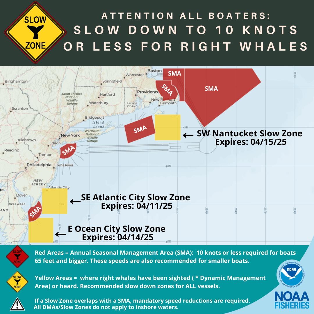 Northeast Slow Zone NOAA for Right Whales