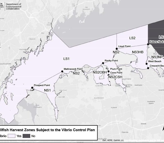 Map of Vp Control Plan Harvest Areas: NS1, NS2, NS2OBH, NS2CSH, NS3HB, NS3NP, LS1 and LS2