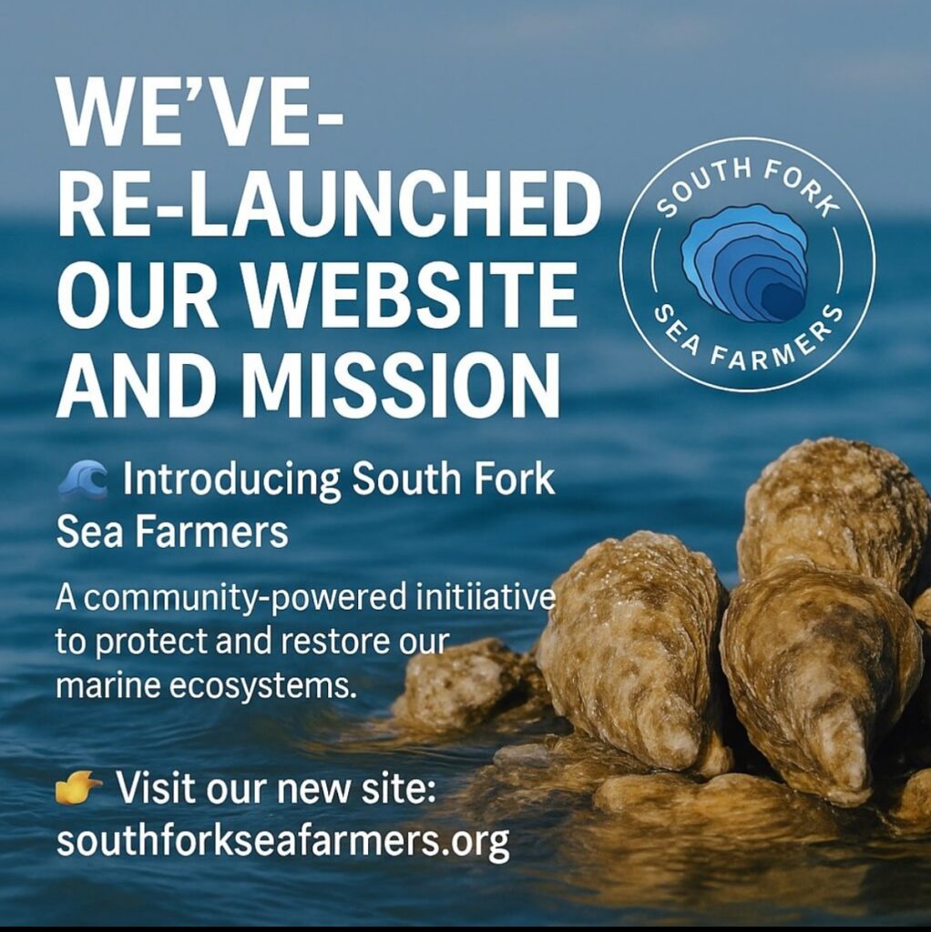South Fork Sea Farmers Website announcement 2025