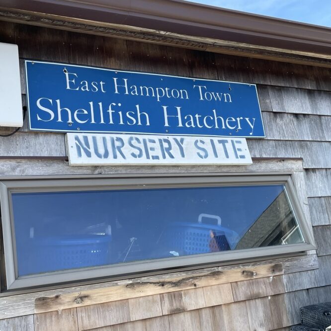EH Shellfish Hatchery Gann Road sign