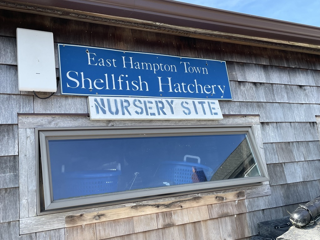 EH Shellfish Hatchery Gann Road sign