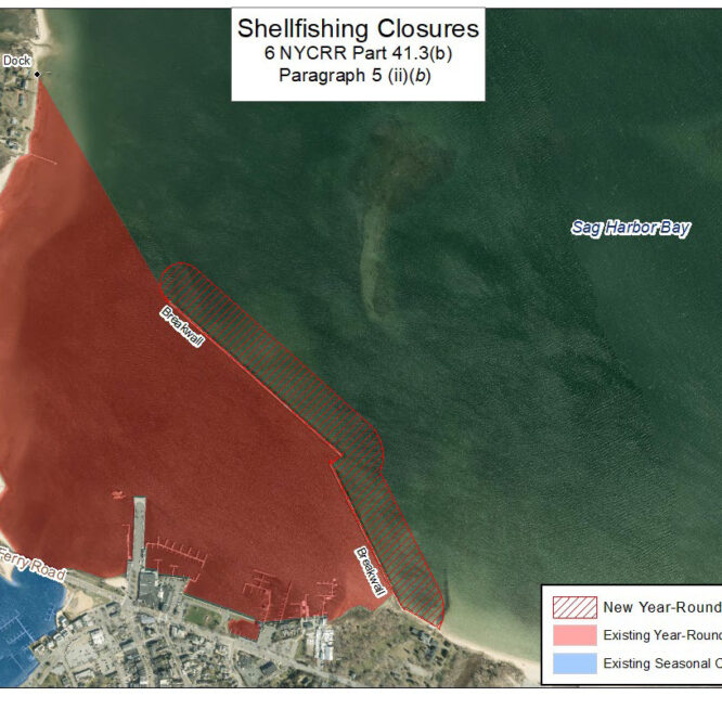 Shellfish Closures Summer 2025