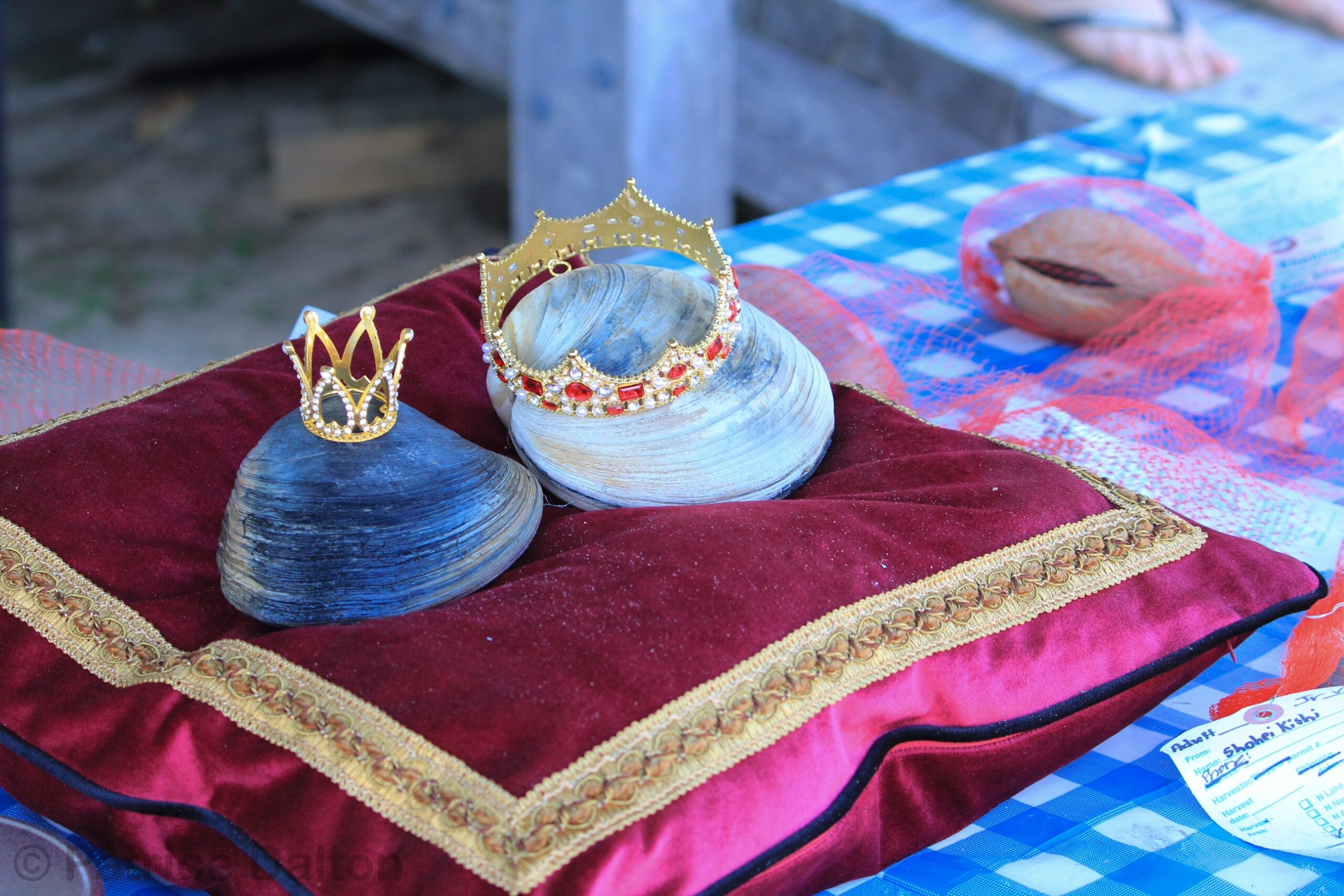 Trustees Largest Clam Contest Winners 2025 Photo Patrice Dalton